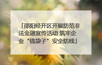 邵阳经开区开展防范非法金融宣传活动 筑牢企业“钱袋子”安全防线