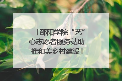 邵阳学院“艺”心志愿者服务站助推和美乡村建设