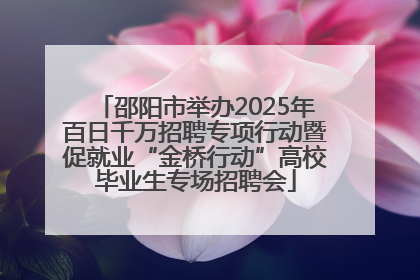 邵阳市举办2025年百日千万招聘专项行动暨促就业“金桥行动”高校毕业生专场招聘会