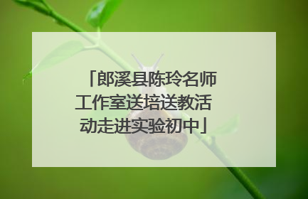郎溪县陈玲名师工作室送培送教活动走进实验初中
