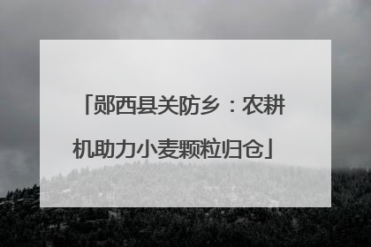 郧西县关防乡：农耕机助力小麦颗粒归仓