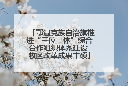 鄂温克族自治旗推进“三位一体”综合合作组织体系建设 牧区改革成果丰硕