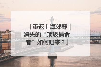 重返上海郊野｜消失的“顶级捕食者”如何归来？