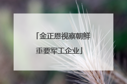 金正恩视察朝鲜重要军工企业