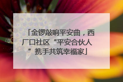 金锣敲响平安曲，西厂口社区“平安合伙人”携手共筑幸福家