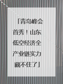 青岛峰会首秀！山东低空经济全产业链实力藏不住了