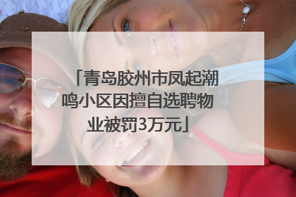 青岛胶州市凤起潮鸣小区因擅自选聘物业被罚3万元