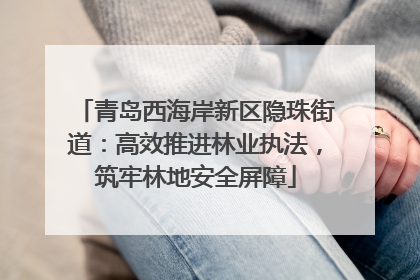 青岛西海岸新区隐珠街道：高效推进林业执法，筑牢林地安全屏障