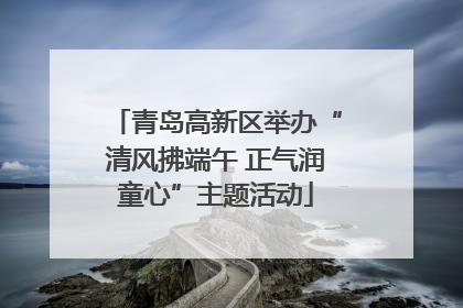 青岛高新区举办“清风拂端午 正气润童心”主题活动