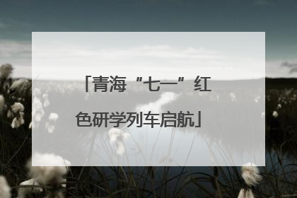 青海“七一”红色研学列车启航