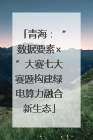 青海：“数据要素×”大赛七大赛题构建绿电算力融合新生态