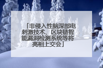 非侵入性脑深部电刺激技术、区块链智能漏洞检测系统等将亮相上交会
