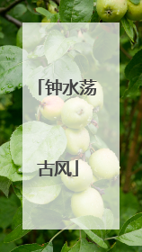 钟水荡古风