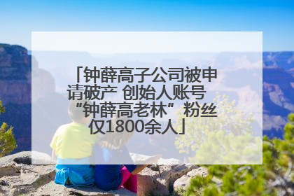 钟薛高子公司被申请破产 创始人账号“钟薛高老林”粉丝仅1800余人
