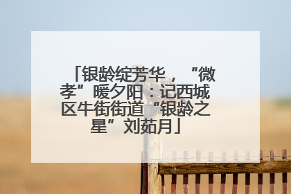银龄绽芳华，“微孝”暖夕阳：记西城区牛街街道“银龄之星”刘茹月
