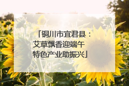 铜川市宜君县：艾草飘香迎端午 特色产业助振兴