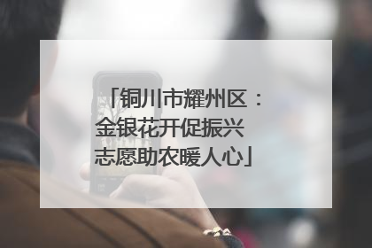 铜川市耀州区：金银花开促振兴 志愿助农暖人心