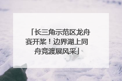 长三角示范区龙舟赛开桨！边界湖上同舟竞渡展风采
