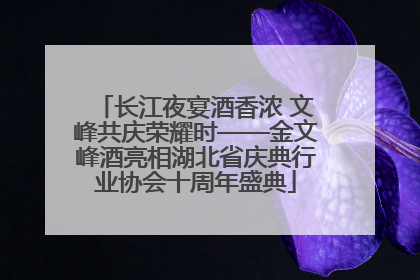 长江夜宴酒香浓 文峰共庆荣耀时——金文峰酒亮相湖北省庆典行业协会十周年盛典