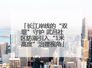 长江岸线的“双堤”守护 武昌社区防溺引入“1米高度”治理视角