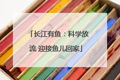 长江有鱼：科学放流 迎接鱼儿回家