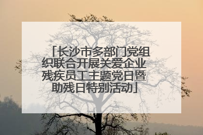 长沙市多部门党组织联合开展关爱企业残疾员工主题党日暨助残日特别活动