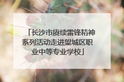 长沙市赓续雷锋精神系列活动走进望城区职业中等专业学校