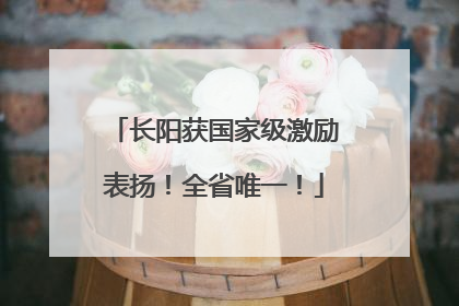 长阳获国家级激励表扬！全省唯一！