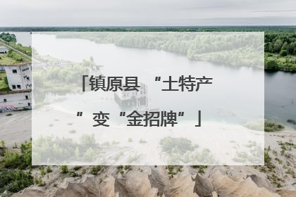 镇原县 “土特产”变“金招牌”