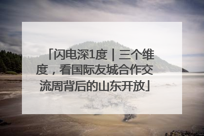 闪电深1度｜三个维度，看国际友城合作交流周背后的山东开放