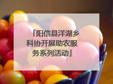 阳信县洋湖乡科协开展助农服务系列活动
