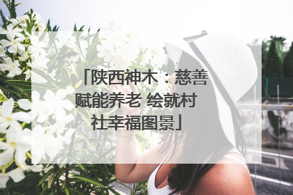 陕西神木：慈善赋能养老 绘就村社幸福图景