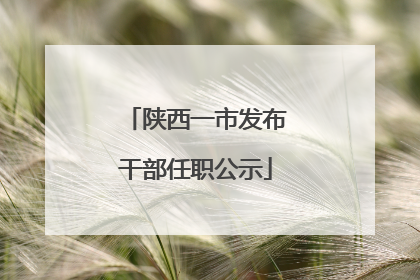 陕西一市发布干部任职公示