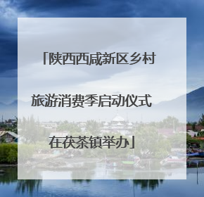 陕西西咸新区乡村旅游消费季启动仪式在茯茶镇举办
