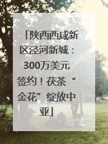 陕西西咸新区泾河新城：300万美元签约！茯茶“金花”绽放中亚