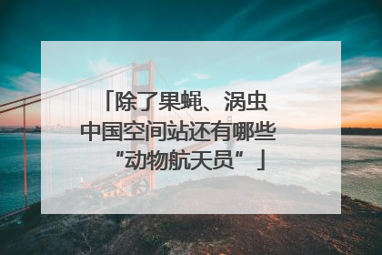 除了果蝇、涡虫 中国空间站还有哪些“动物航天员”