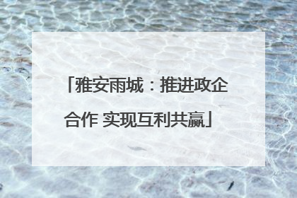雅安雨城：推进政企合作 实现互利共赢