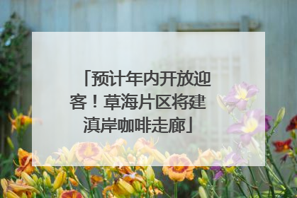 预计年内开放迎客！草海片区将建滇岸咖啡走廊