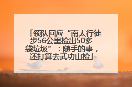 领队回应“南太行徒步56公里捡出50多袋垃圾”：随手的事，还打算去武功山捡