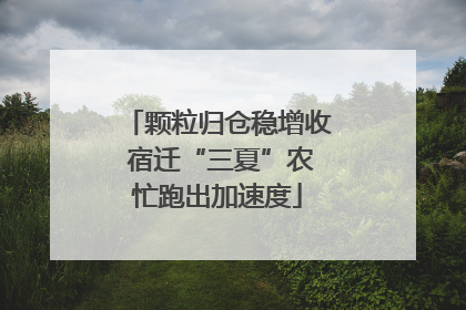 颗粒归仓稳增收 宿迁“三夏”农忙跑出加速度