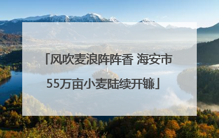 风吹麦浪阵阵香 海安市55万亩小麦陆续开镰