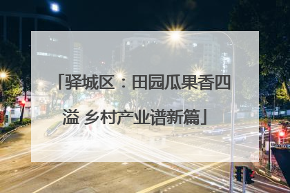 驿城区：田园瓜果香四溢 乡村产业谱新篇
