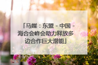 马媒：东盟－中国－海合会峰会助力释放多边合作巨大潜能