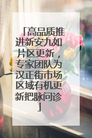 高品质推进新安九如片区更新，专家团队为汉正街市场区域有机更新把脉问诊