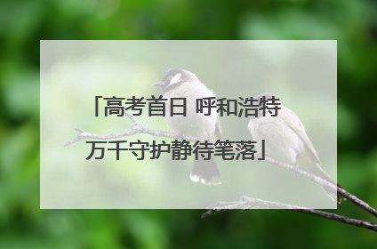 高考首日 呼和浩特万千守护静待笔落