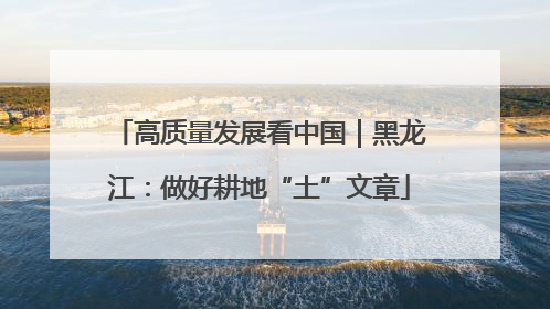 高质量发展看中国｜黑龙江：做好耕地“土”文章