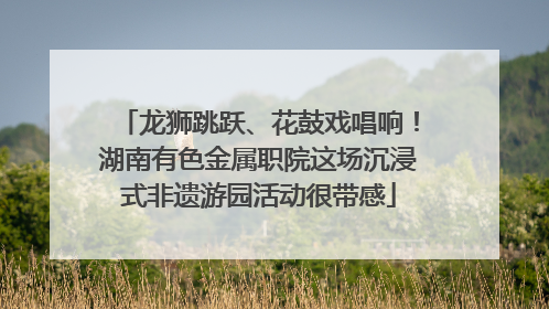 龙狮跳跃、花鼓戏唱响！湖南有色金属职院这场沉浸式非遗游园活动很带感