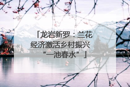 龙岩新罗：兰花经济激活乡村振兴“一池春水”