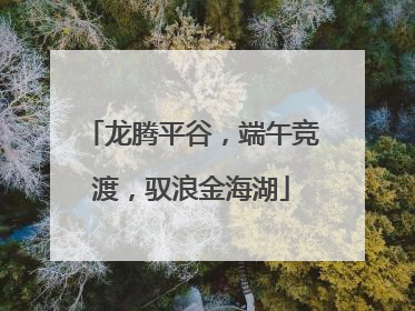 龙腾平谷，端午竞渡，驭浪金海湖