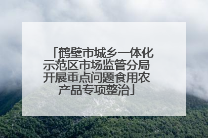 鹤壁市城乡一体化示范区市场监管分局开展重点问题食用农产品专项整治